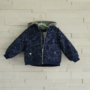 Carter's Blue Dinosaur Hoodie